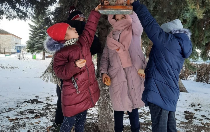 Акция «Птицы-наши друзья» Акция «Птицы-наши друзья»