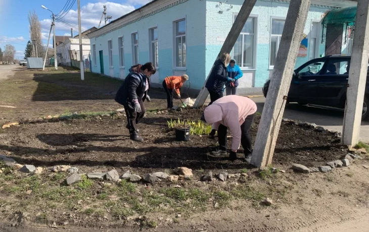 Весенний субботник Весенний субботник